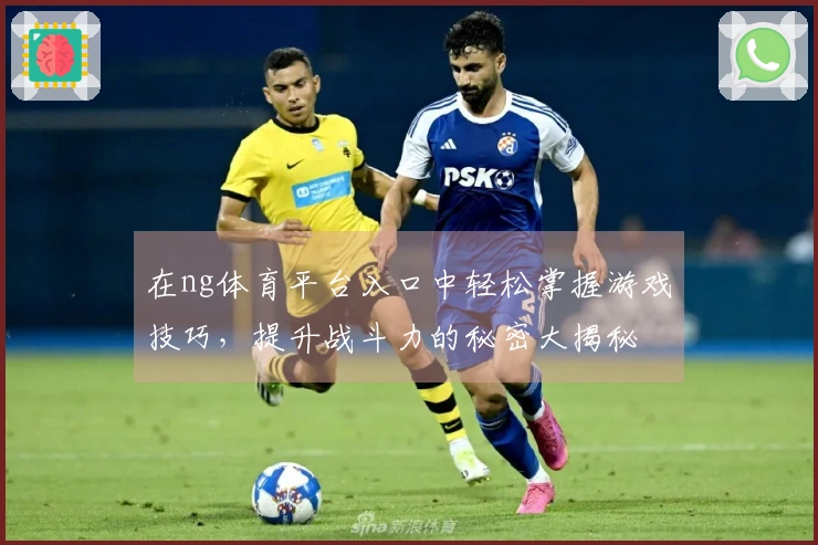 在ng体育平台入口中轻松掌握游戏技巧，提升战斗力的秘密大揭秘